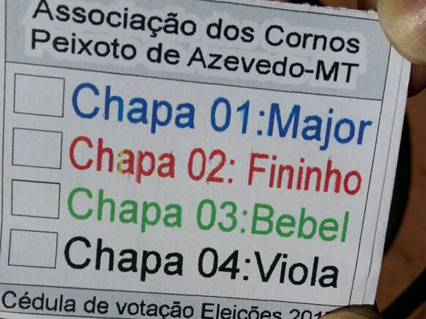 Cédula de votação da eleição realizada no fim de semana (Foto: Associação dos Cornos de Peixoto de Azevedo/ Divulgação)